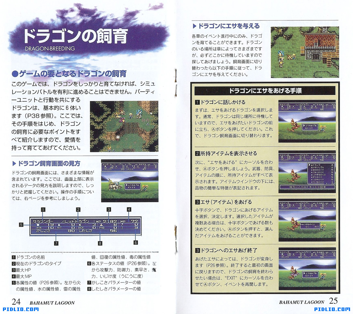 バハムートラグーン 説明書 P24 - P25(画像):バハムートラグーン攻略