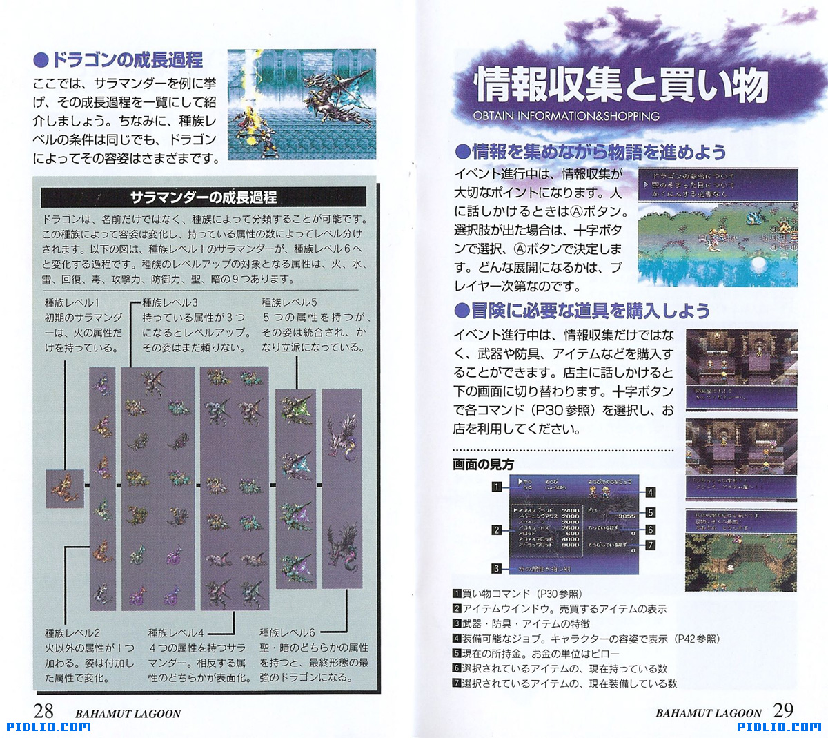 バハムートラグーン 説明書 P30 - P31(画像):バハムートラグーン攻略