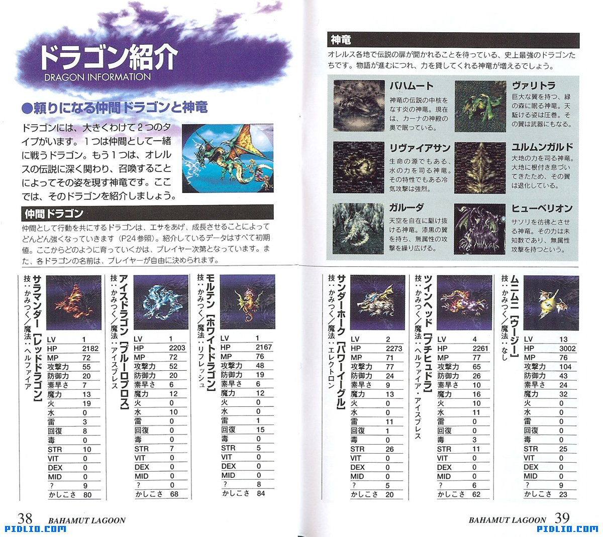 バハムートラグーン 説明書 P38 - P39（画像）：バハムートラグーン攻略