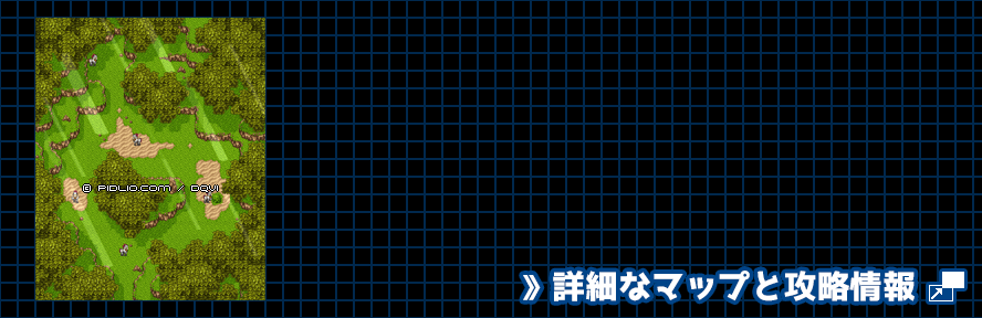 【夢の世界】レイドック西の森の簡易マップ画像 ／ SFC版ドラゴンクエスト6攻略 ─ pidlio.com