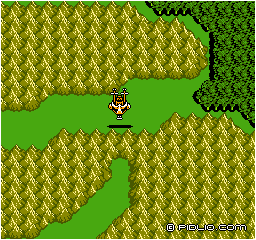 ファルガバードの村の場所：画像 ／ FF3攻略