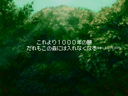 以降は入れなくなる：画像 ／ リメイク版FF3攻略