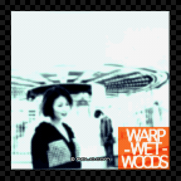 Moon Disc：WARP-WET-WOODSのジャケット画像 ／ ラブデリック moon 攻略