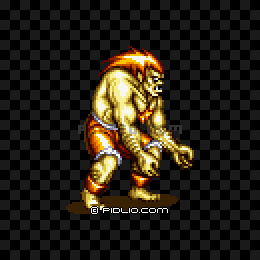 ブランカ（BLANKA）：キャラクター紹介 ／ ストリートファイター2攻略